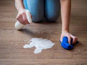 Lady cleaning up a spill on vinyl plank flooring